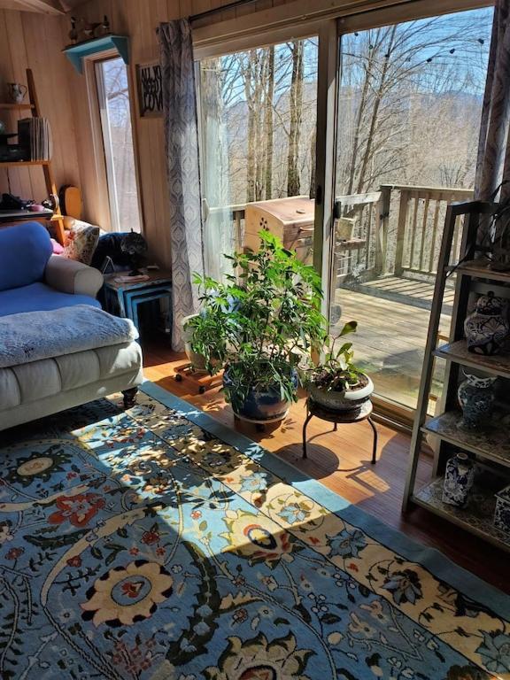 Vila Treehouse Cathedral In Blue Ridge Mountains, Nc Burnsville Exteriér fotografie